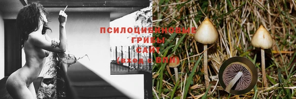 a pvp Зеленодольск