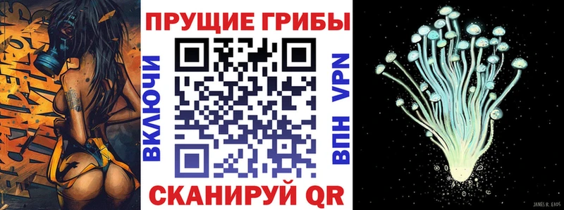 Псилоцибиновые грибы Psilocybine cubensis  Купить где  Заинск 